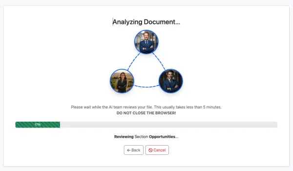 AI Analysis Process